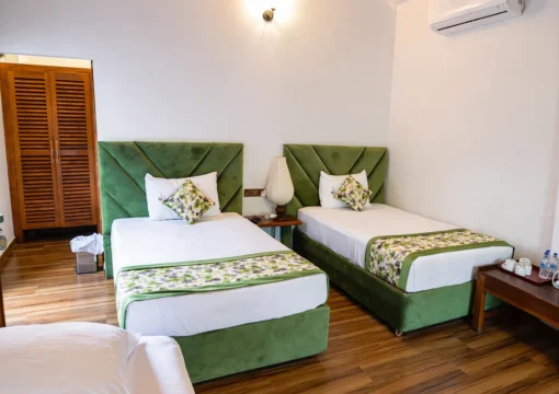 Green Triple Room