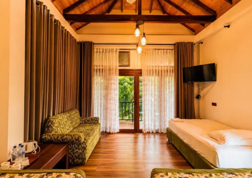 Green Triple Room