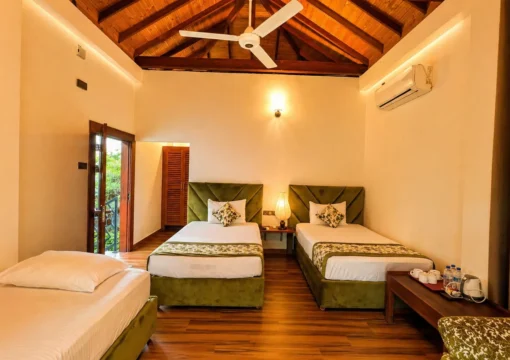 Green Triple Room