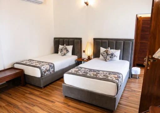 Gray Twin Room