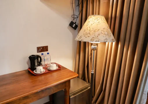 Gray Twin Room