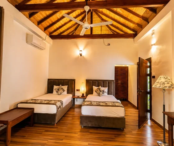 Deluxe Twin Room (Brown)