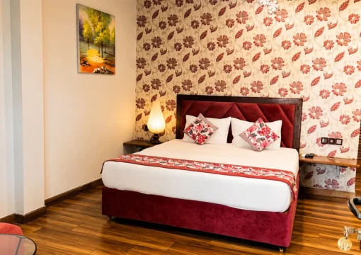 Maroon Double Room